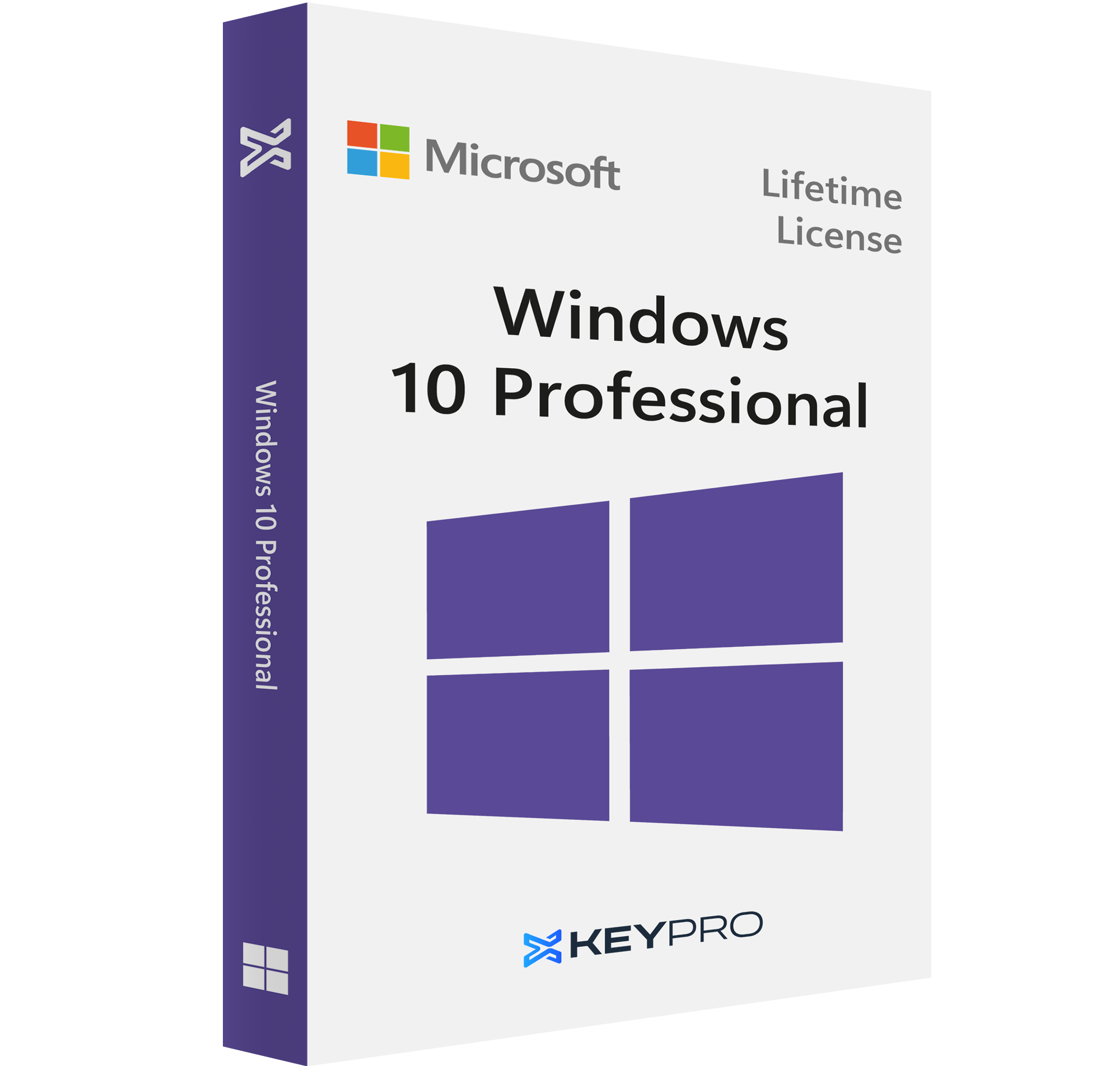 Windows 10 Professional