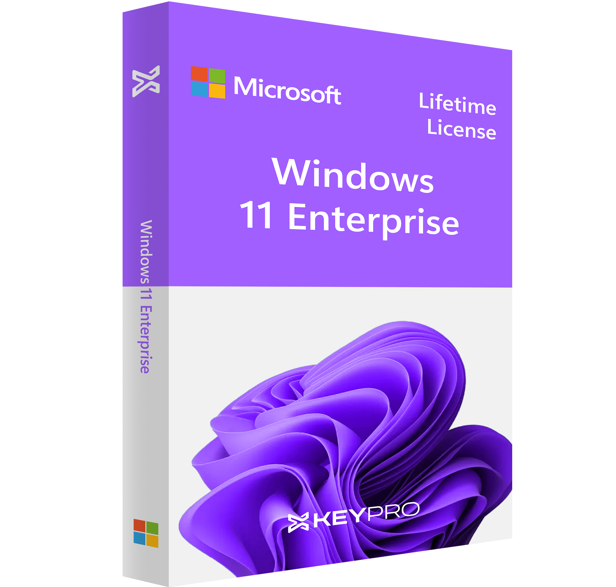 Windows 11 Enterprise